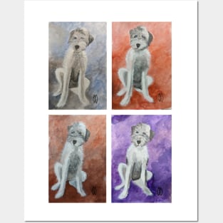 Sheepadoodle study Posters and Art